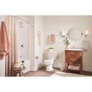 Moen Chrome 18 in. Grab Bar 