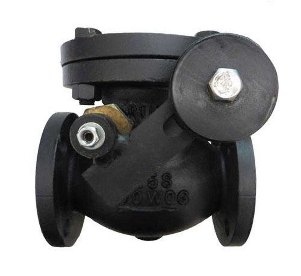 Milwaukee Valve Cast Iron Flanged Check Valve 