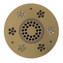 Thermasol Satin Brass Single Function Rain Showerhead 