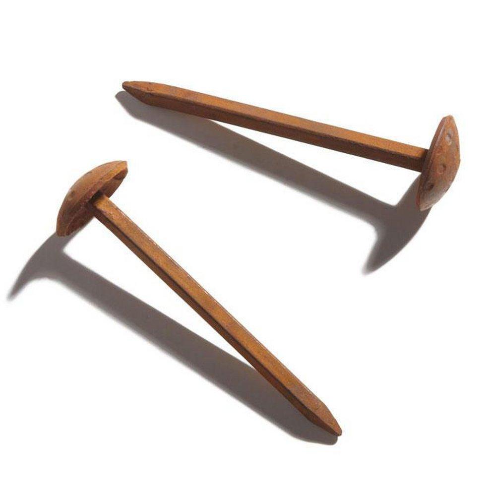 Signature Hardware Black 2 in. Hand Forged Iron Round Nail Head Clavos 