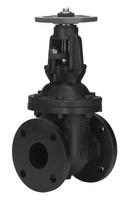 5 in. Cast Iron Flanged Gate Valve