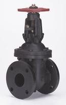 Milwaukee Valve Cast Iron Flanged Gate Valve