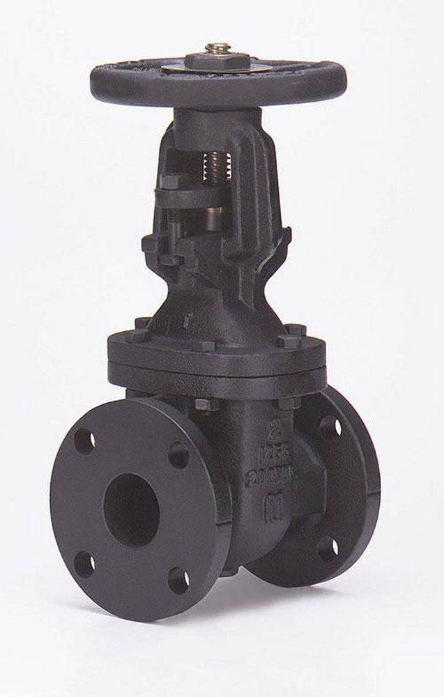 Milwaukee Valve Cast Iron Flanged Gate Valve 