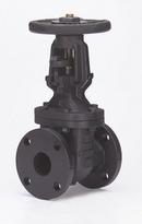 Milwaukee Valve Cast Iron Flanged Gate Valve 