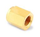 1/4 in. FPT Brass Pipe Cap