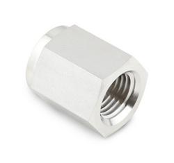 1/8 in. FNPT Cap