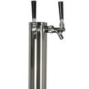 Dual Tap Dispensing Kit with CO2 Tank and Fittings in Stainless Steel/Black