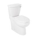 Elongated Toilet Bowl in White