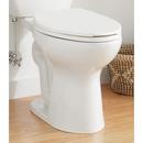 Signature Hardware White 1.28 gpf Two Piece Bowl Toilet 