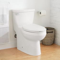 1.28 gpf Elongated One Piece Skirted Toilet in White