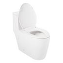 Signature Hardware White 1.28 gpf Elongated One Piece Toilet 