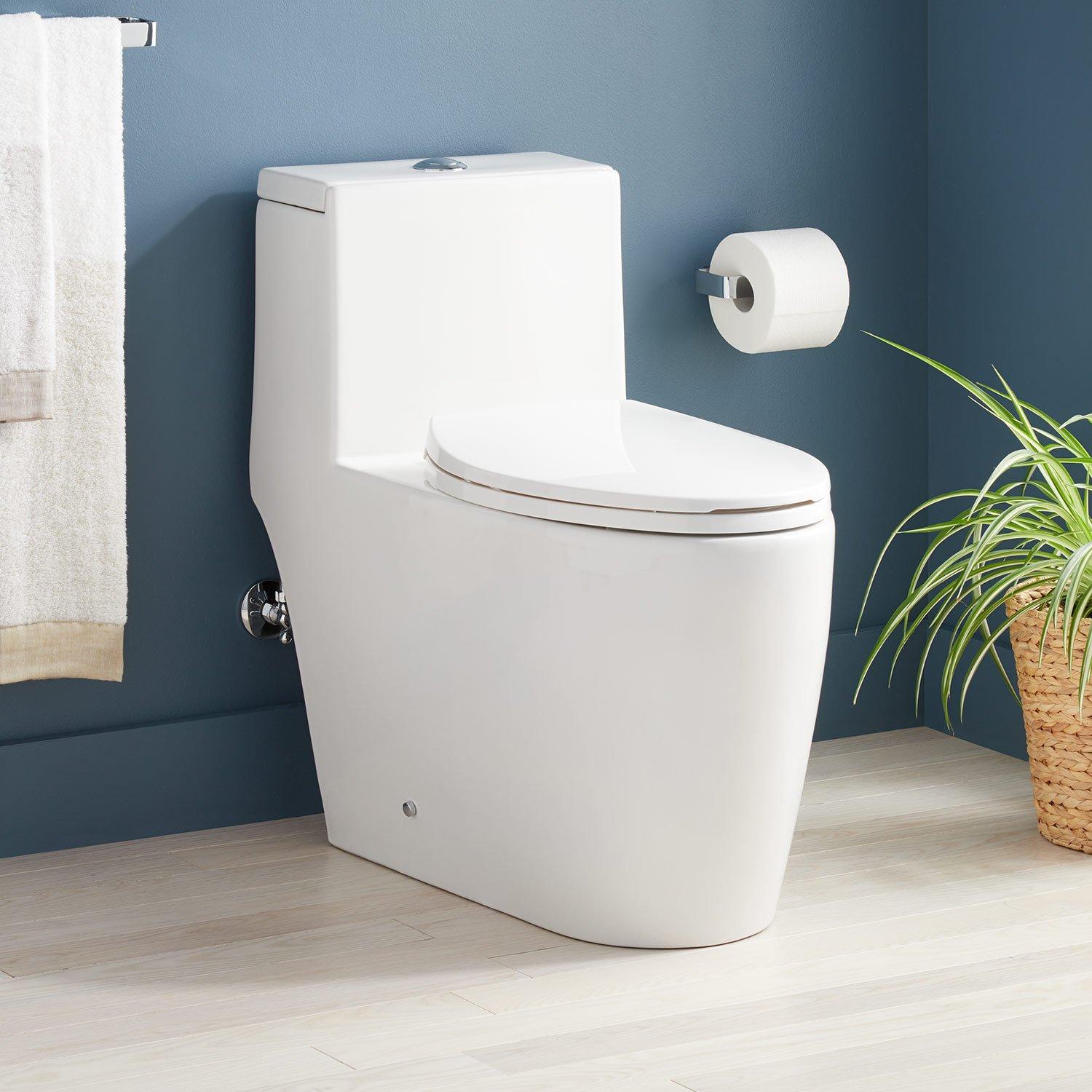 Signature Hardware White 1.28 gpf Elongated One Piece Toilet 
