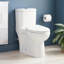 Signature Hardware White 1.28 gpf Elongated One Piece ADA Compliant Toilet 