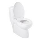 Signature Hardware White 1.28 gpf Elongated One Piece ADA Compliant Toilet 