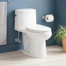 Signature Hardware White 1.28 gpf Elongated One Piece Toilet with Seat 