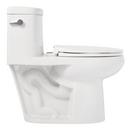 Signature Hardware White 1.28 gpf Elongated One Piece Toilet with Seat 