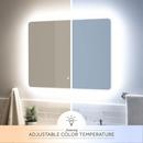 Signature Hardware Silver Rectangular Lighted Mirror with Tunable LED in Silver 