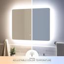 Signature Hardware Silver Rectangular Lighted Mirror with Tunable LED in Silver 