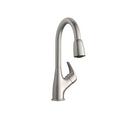 PROFLO&reg; Brushed Nickel ABS Spray Head in Brushed nickel 