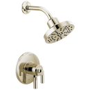 Delta Faucet Polished Nickel Single Handle Multi Function Shower Faucet (Trim Only) 