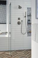 Delta Faucet Black Stainless Single Handle Multi Function Shower Faucet (Trim Only) 
