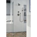 Delta Faucet Black Stainless Single Handle Multi Function Shower Faucet (Trim Only) 