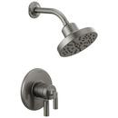 Delta Faucet Black Stainless Single Handle Multi Function Shower Faucet (Trim Only) 