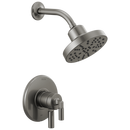 Delta Faucet Black Stainless Single Handle Multi Function Shower Faucet (Trim Only) 
