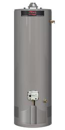 Ruud Short 40 MBH Residential Natural Gas Water Heater 