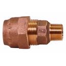 A.Y. McDonald Ranger Compression x MNPT 300 psi Brass Adapter 