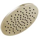 Single Function Showerhead in Polished Nickel