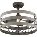 Progress Lighting Graphite 3 Blades 23-1/2 in. Indoor Ceiling Fan 