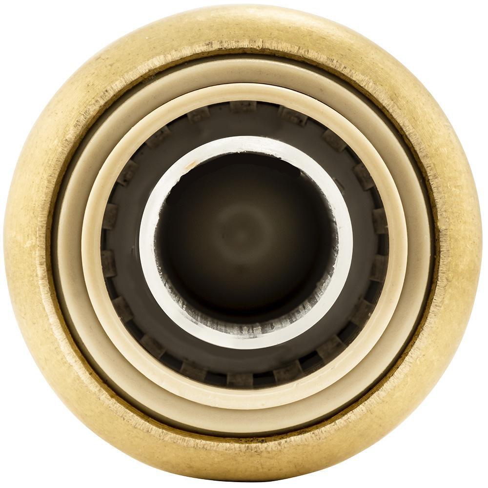 Jones Stephens Rough Brass Push On Check Valve 