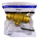 Jones Stephens Rough Brass Brass Push-to-Connect 200# Ball Valve 