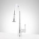 Signature Hardware Polished Chrome Single Handle Pull Down Kitchen Faucet