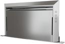 Zephyr Stainless Steel Downdraft Hood in Stainless Steel 