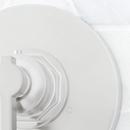 Signature Hardware Brushed Nickel Single Handle Bathtub & Shower Faucet (Trim Only) 
