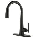 Pfister Brushed Gold Single Handle Pull Down Kitchen Faucet 