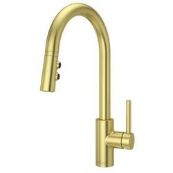 Single Handle Pull Down Kitchen Faucet in Brushed Gold