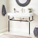 Integral Bathroom Sink in White with Black/Brushed Nickel Stand