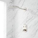 Single Handle Dual Function Shower System in Brushed Nickel