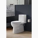 KOHLER Dune 1.28 gpf Elongated One Piece Toilet 