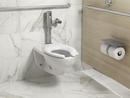 KOHLER White 1.28 gpf Elongated Wall Mount Two Piece Toilet Bowl 