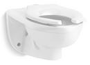 KOHLER White 1.28 gpf Elongated Wall Mount Two Piece Toilet Bowl