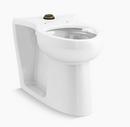 Elongated Floor Mount Toilet Bowl in White
