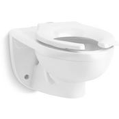 Wall Mount Toilets