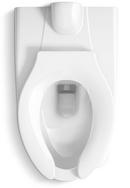KOHLER White 1.28 gpf Elongated Wall Mount Two Piece Toilet Bowl 