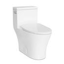 Icera USA White 1.28 gpf Elongated One Piece Toilet 
