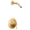 Single Handle Bathtub & Shower Faucet in Brushed Gold Trim Only