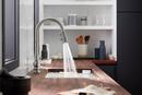 KOHLER Polished Chrome Single Handle Pull Down Kitchen Faucet 